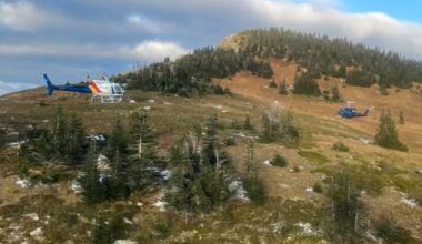 2 hikers attacked by grizzly bear northeast of Prince George, B.C. - CTV News