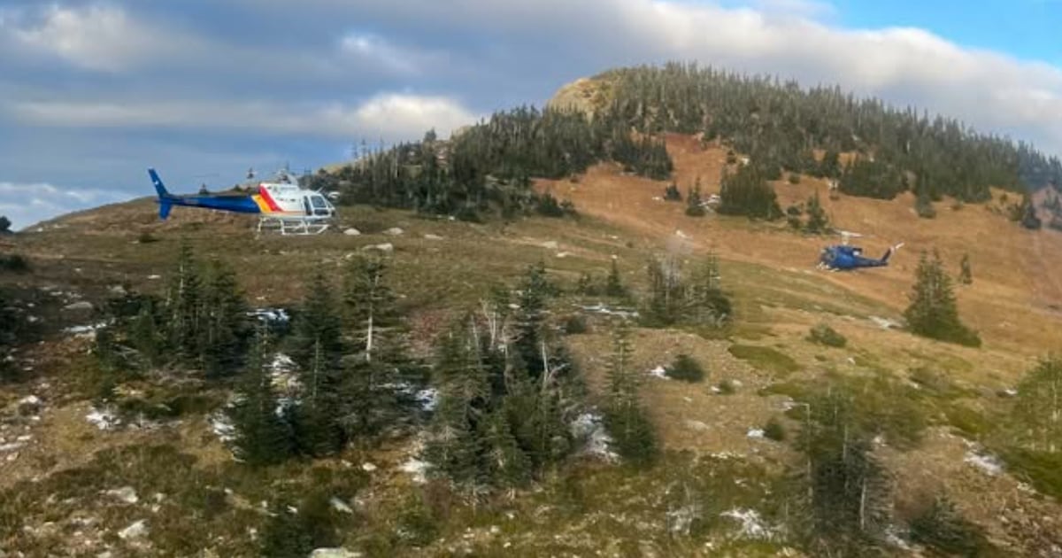 2 hikers attacked by grizzly bear northeast of Prince George, B.C. - CTV News