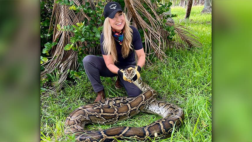 A woman kneels in the tall grass alongside a large Burmese python.