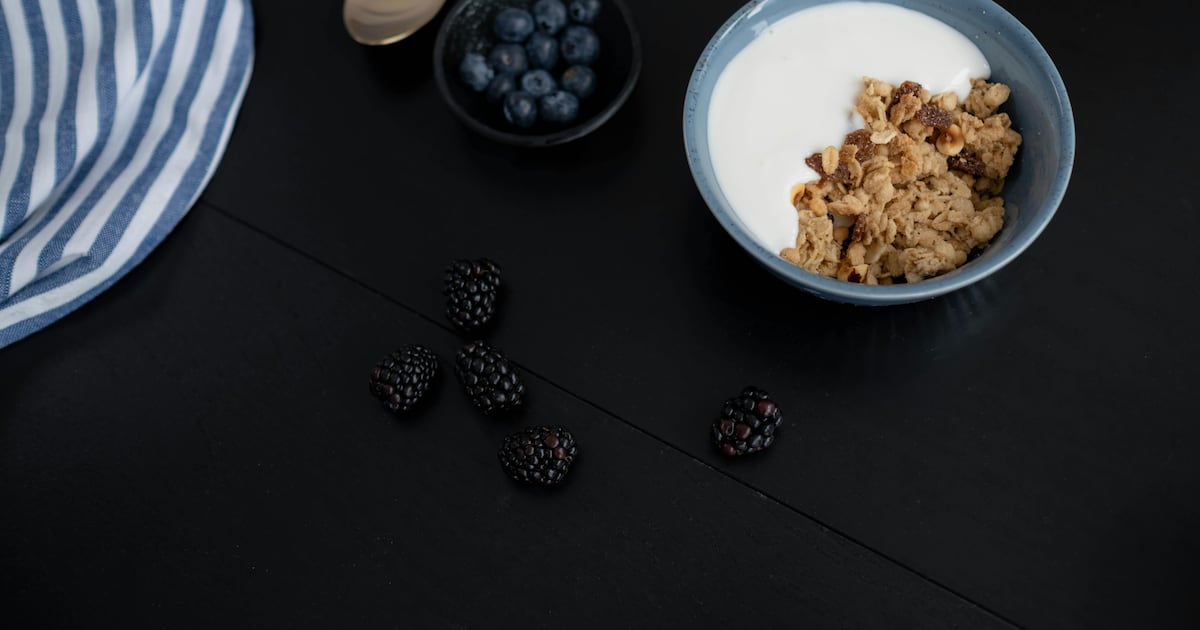 Scientists used ants to make yogurt