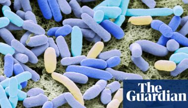 Sharp global rise in antibiotic-resistant infections in hospitals, WHO finds | World Health Organization