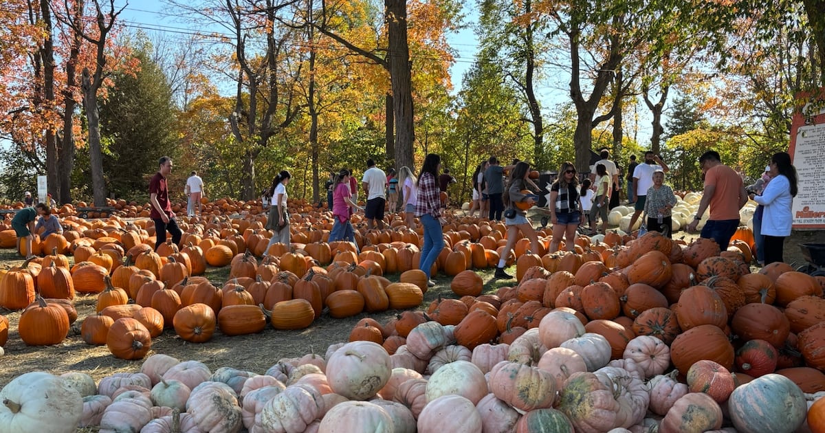 High temperature record for Ottawa broken on Sunday - CTV News