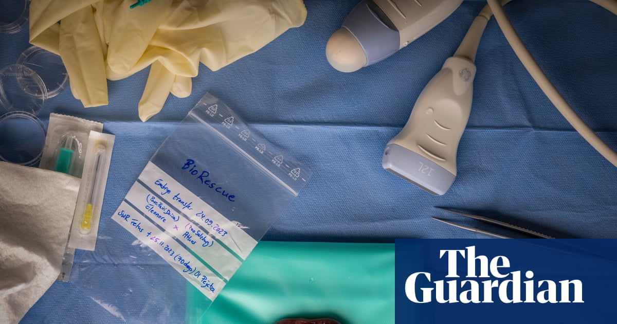 A tiny rhino foetus developed by IVF: Jon A Juárez’s best photograph | Photography