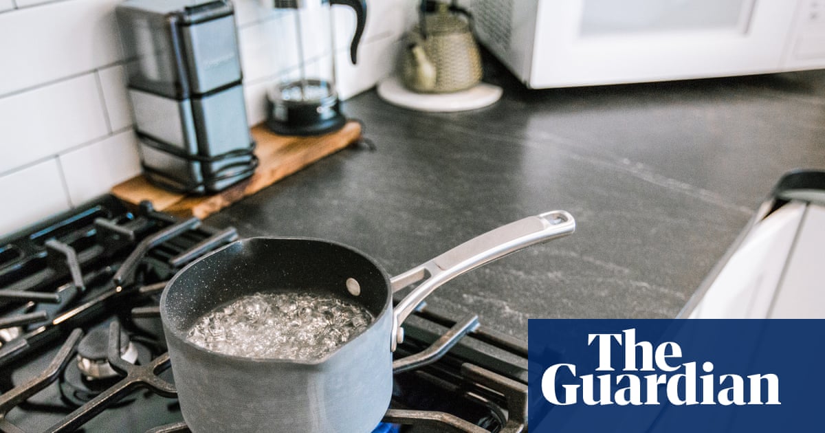 Wood burning and gas cooking hugely costly to healthcare systems, New Zealand study finds | Environment