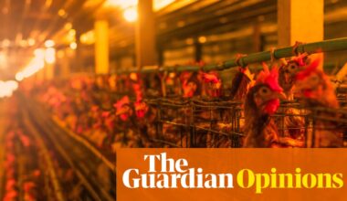 Can we keep antibiotics working? Yes, but the world needs to follow the EU and the UK | Devi Sridhar
