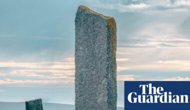 The best recent crime and thrillers – review roundup | Books