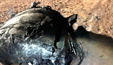 Suspected burning space junk found by mine workers in Australia
