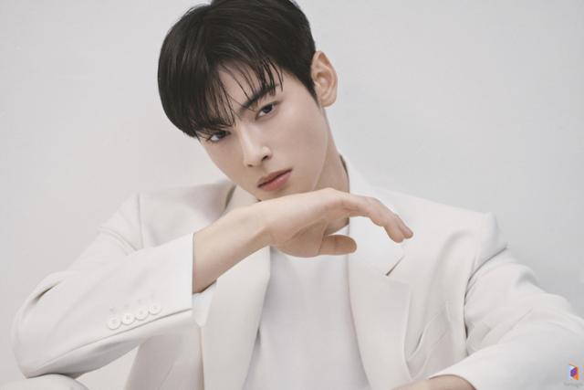 Singer Cha Eun-woo to host APEC summit welcome dinner