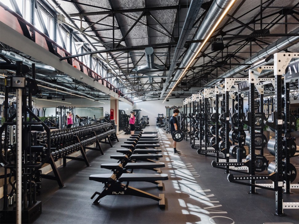 The weights room at Animo Studios, Brussels