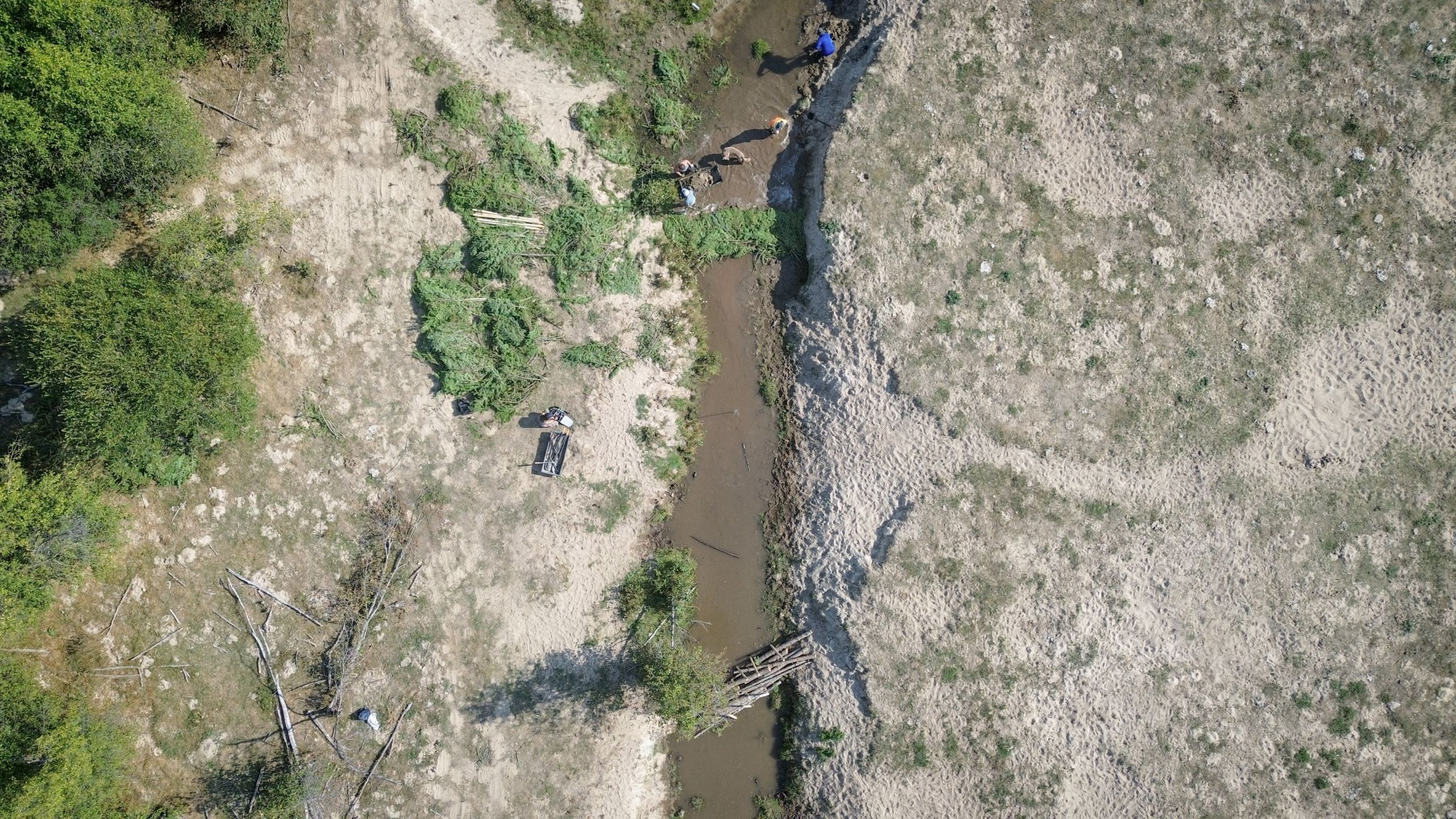 An aerial view of a crew of people working to build a beaver dam along a creek bed.