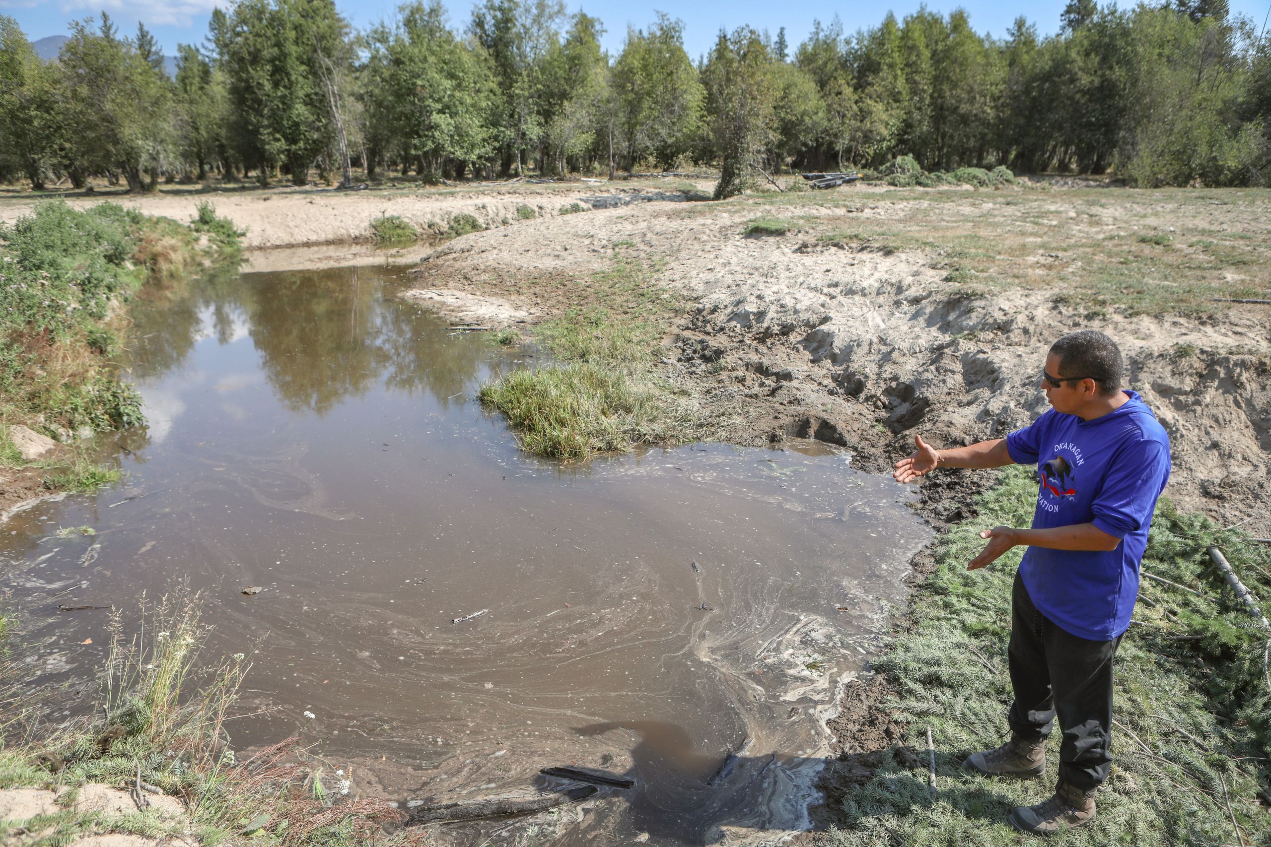 A man wearing a blue shirt stands on the edge of a creek and points down at the water.