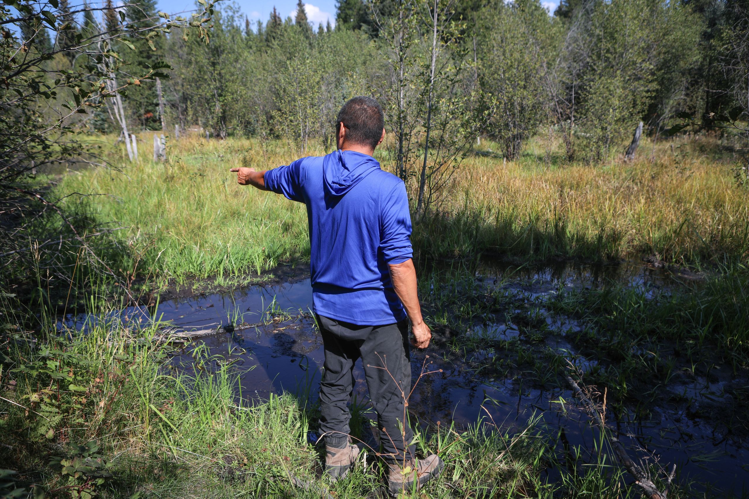 A man in a blue shirt has his back to the camera. He's pointing at the wetland ecosystem in front of him.