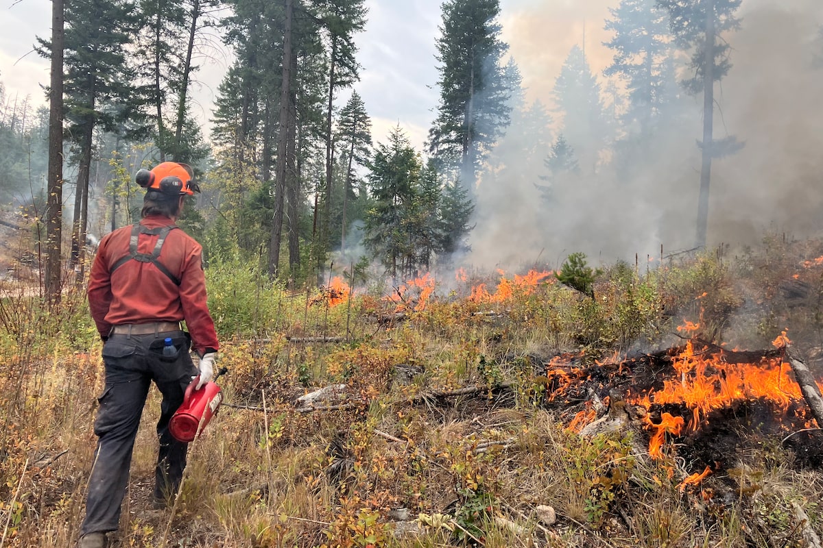 Canada is considering a national wildfire agency. This expert says it should focus elsewhere
