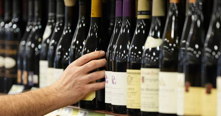 Cyclist tumbles down ravine in France, survives on wine he had in his bag - National