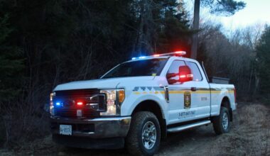 Fines laid following illegal moose hunt in northwestern Ontario