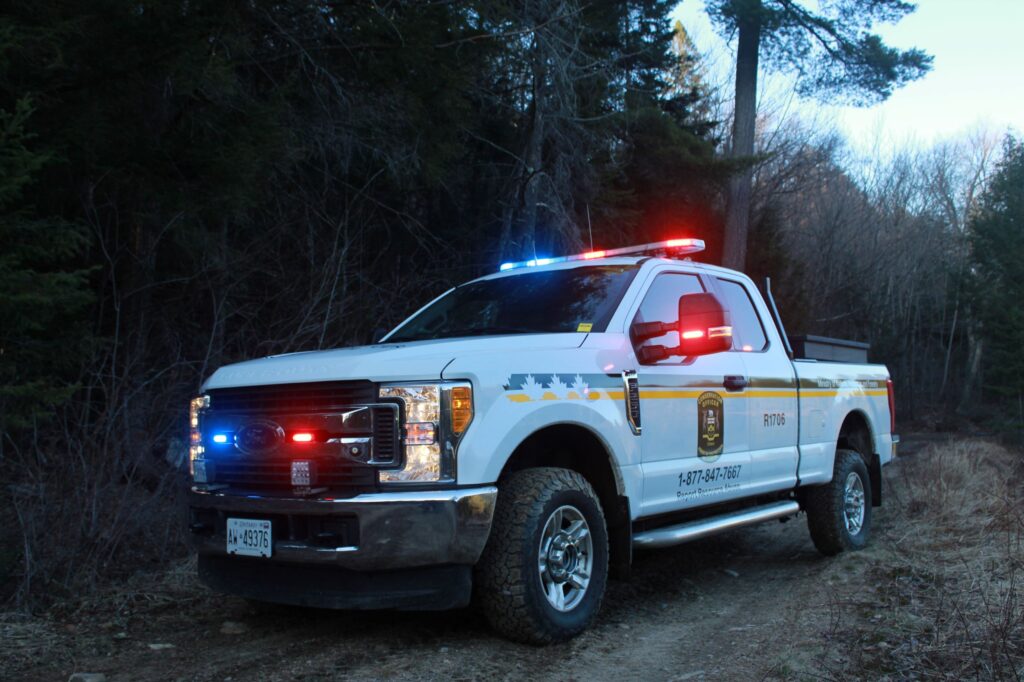 Fines laid following illegal moose hunt in northwestern Ontario