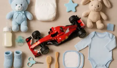 Why F1 pit stops have saved thousands of babies’ lives