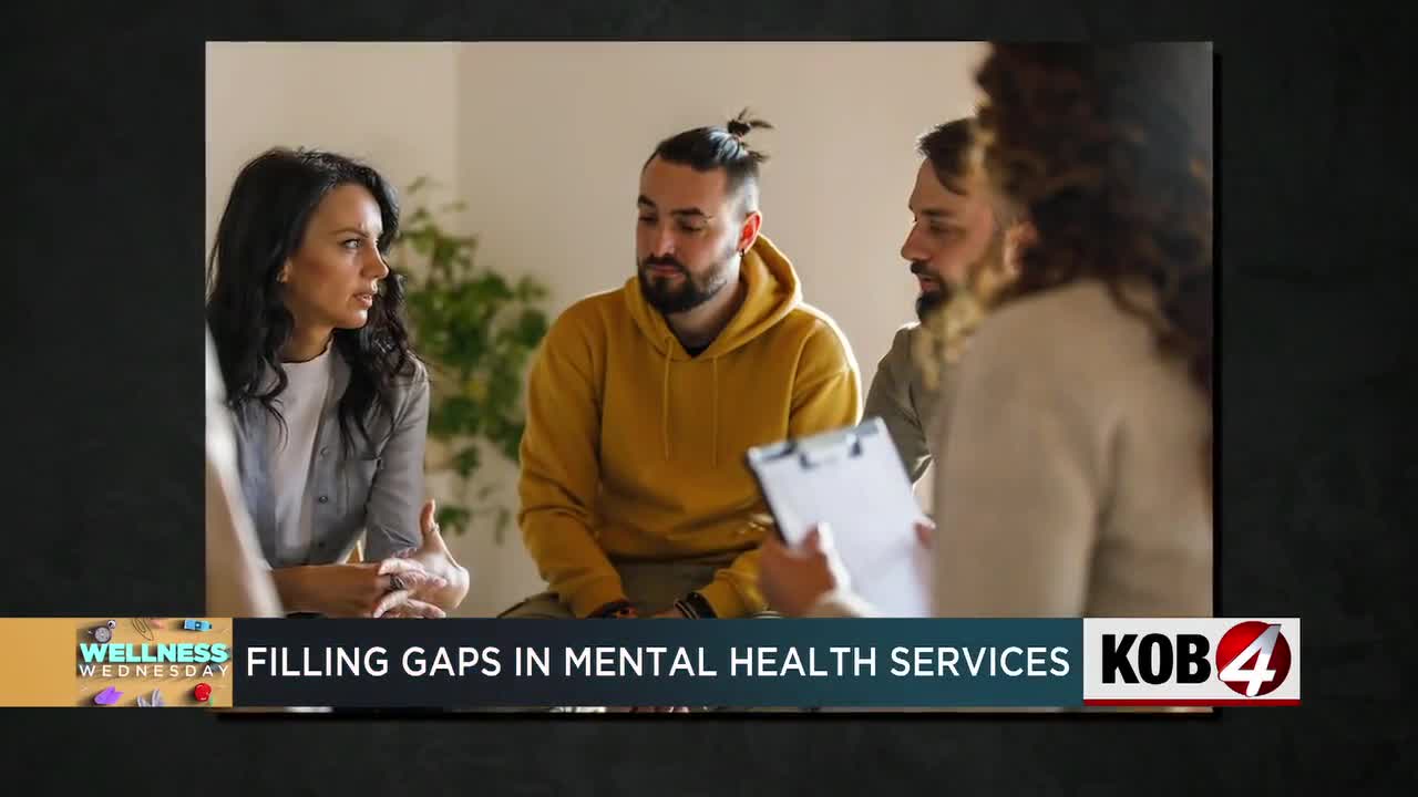 How an organization is trying to fill the gaps in New Mexico's mental health services