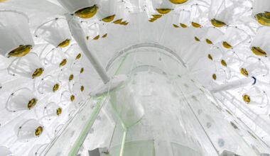 Physicists tighten the net on elusive dark matter