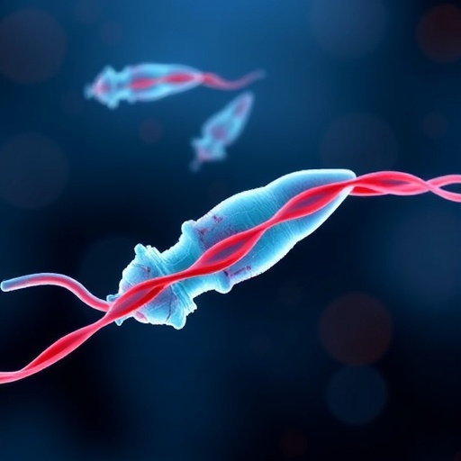 Crucial Mediators of Paternal Exercise Capacity