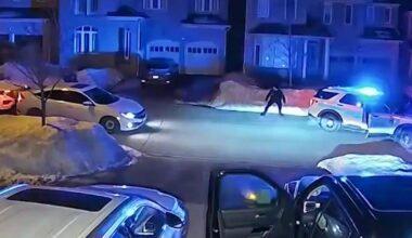 Police combatting auto theft in York Region