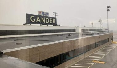 Airport warns about catfishing as people arrive to meet loved ones who don’t exist