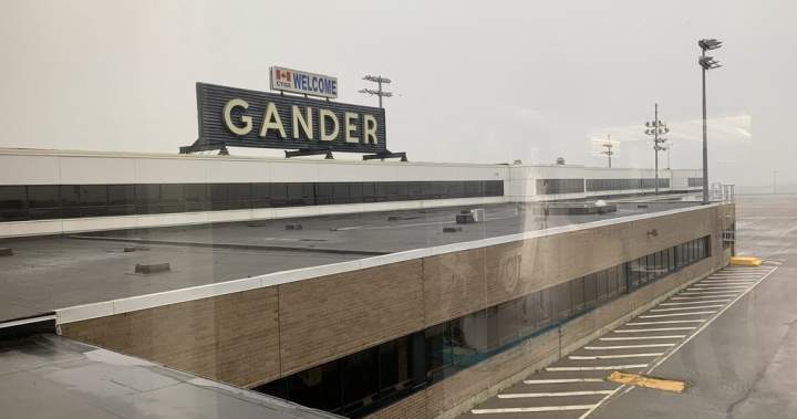 Airport warns about catfishing as people arrive to meet loved ones who don’t exist