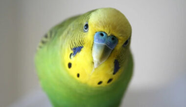 Yahoo lifestyle home