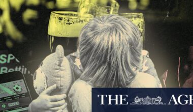 NRL, AFL urged to drop gambling, alcohol advertising amid surge in domestic violence incidents on grand final days