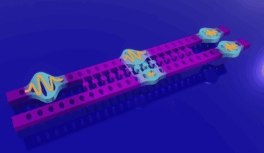 Single-phonon coupler brings different quantum technologies together – Physics World