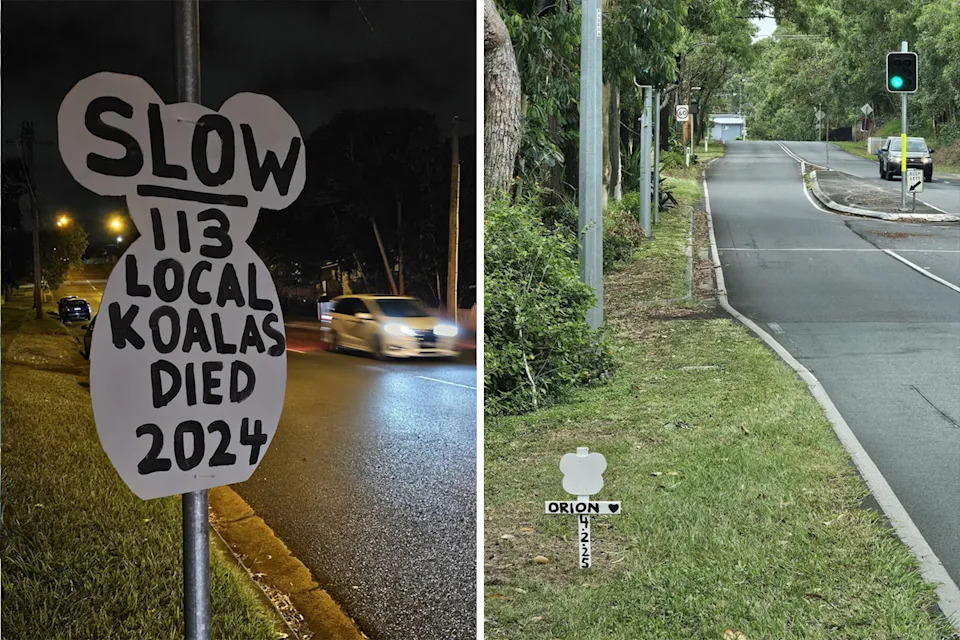 Left: A sign urging motorists to slow down because 113 koalas died locally in 2024. Right: A cross showing where a koala died.