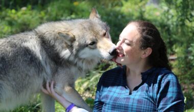 Jacqueline E. Smith's journey to fairy tale success