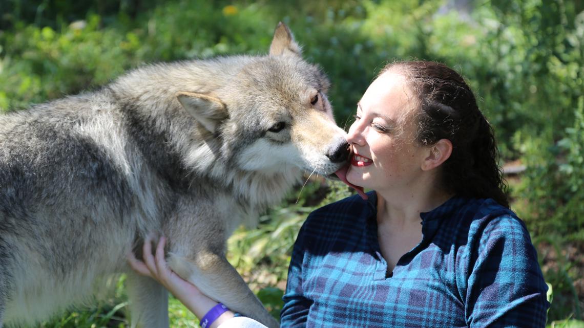 Jacqueline E. Smith's journey to fairy tale success