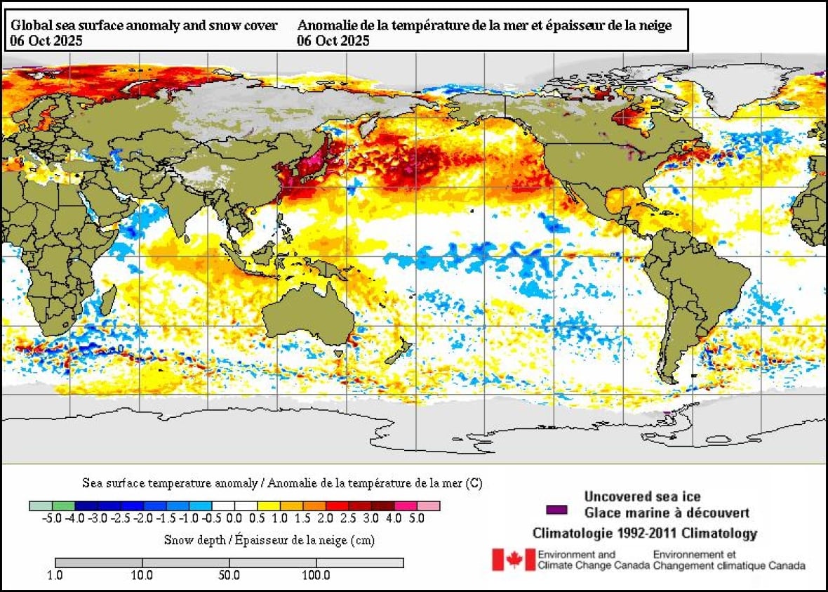 A graphic from Environment and Climate Change Canada shows the sea surface temperature anomaly for Oct. 6, 2025. A large area of unusually warm water can be seen across the northern Pacific Ocean, stretching from the coasts of China and Japan to North America.
