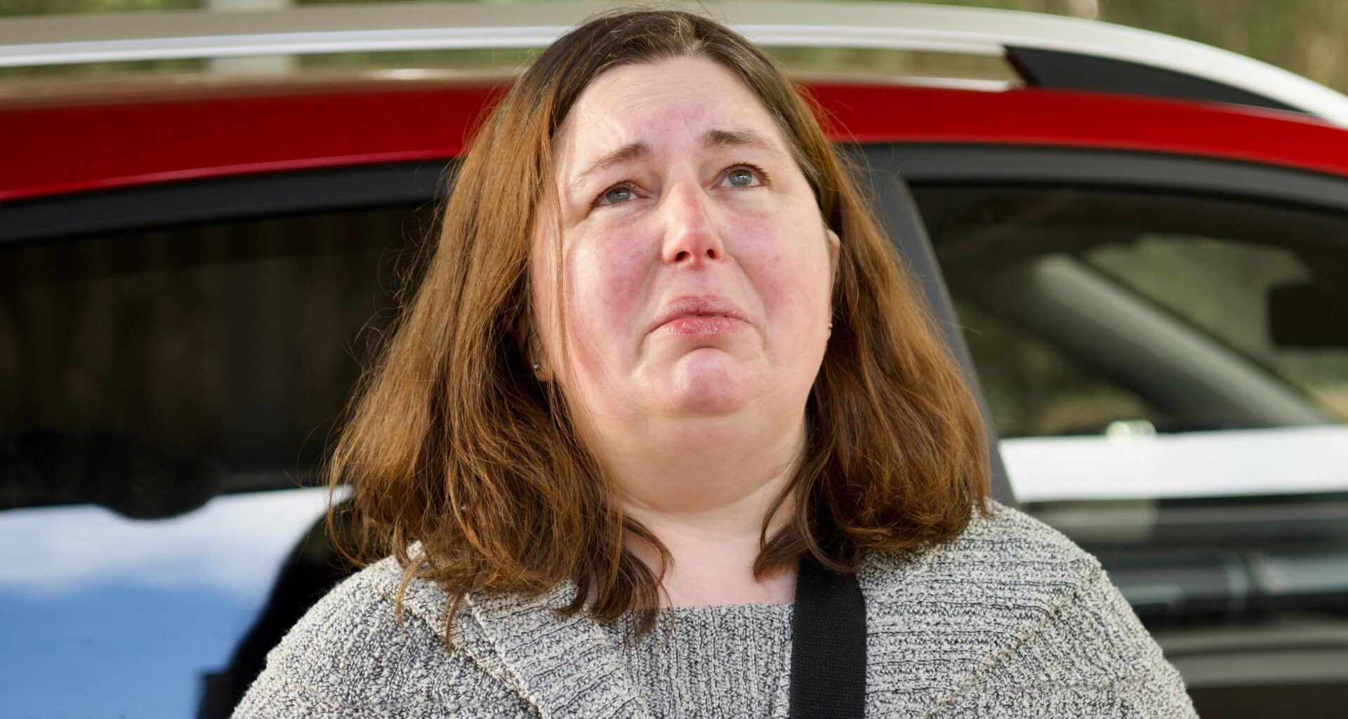 Books of the Week: Australia's death cap mushroom killer