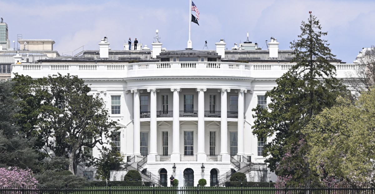 UFC will spend $700,000 replacing White House lawn