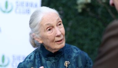 Jane Goodall, who shaped the world's knowledge of chimpanzees, dies at 91