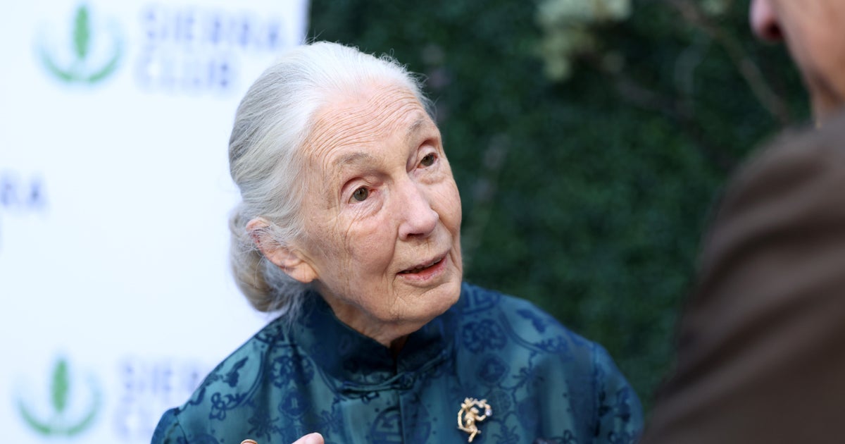 Jane Goodall, who shaped the world's knowledge of chimpanzees, dies at 91