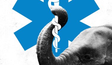 The Obamacare Repeal Movement Is Dead. Long Live Obamacare Repeal.