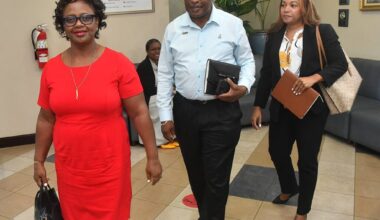 Mental health crisis - Jamaica Observer