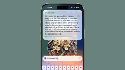 ios 26 visual intelligence ask
