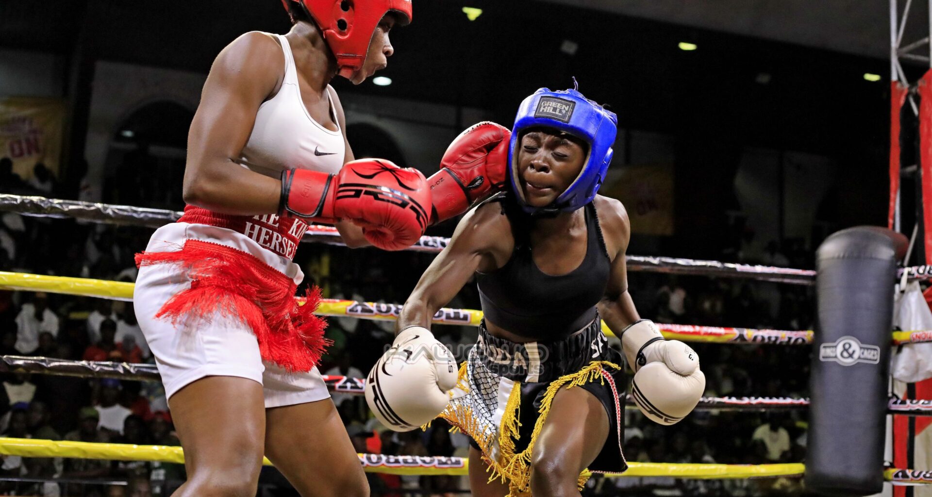 Uganda to field 16 boxers