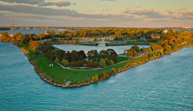 There's An Alligator In Detroit