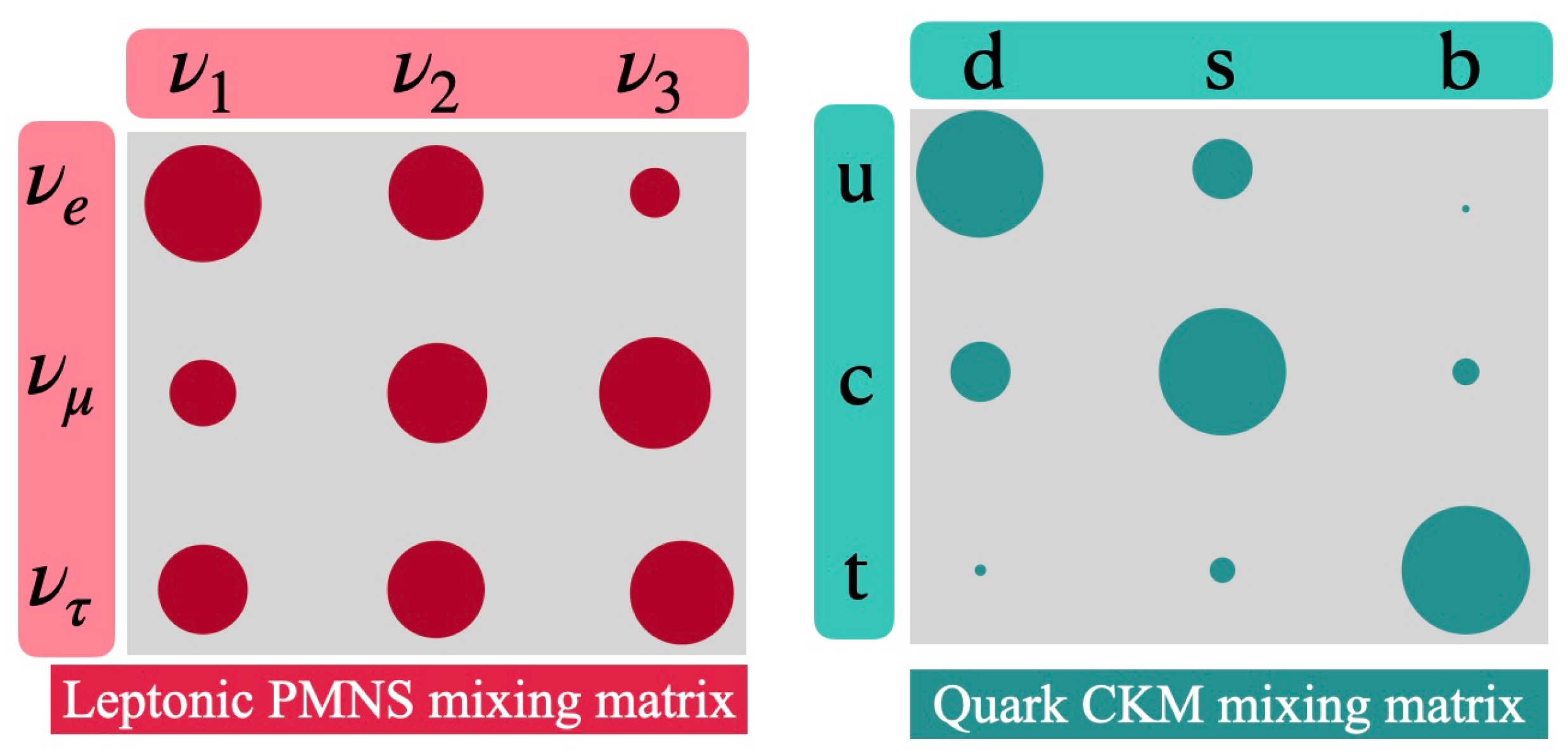 Side-by-side grid plots compare the relative strengths of elements in the Leptonic PMNS and Quark CKM mixing matrices, represented by circle sizes—highlighting how neutrino mass, smaller than quark mass, relates to mixing patterns.