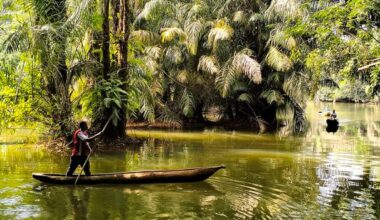 The remote isle where pygmy hippos roam