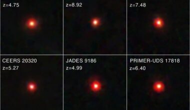 Images of little red dots seen in several deep-sky surveys of JWST. Credit: ASA/ESA/CSA/STScI/Dale Kocevski (Colby College)