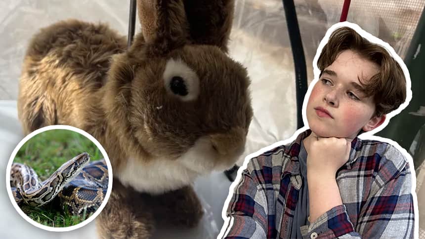 WATCH — Why robot rabbits are being used to catch snakes in Florida | videoclip