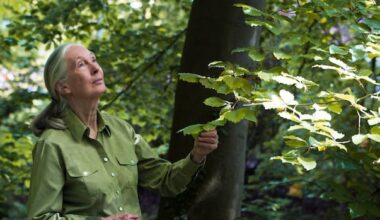 Jane Goodall, conservationist and chimpanzee researcher, dead at 91
