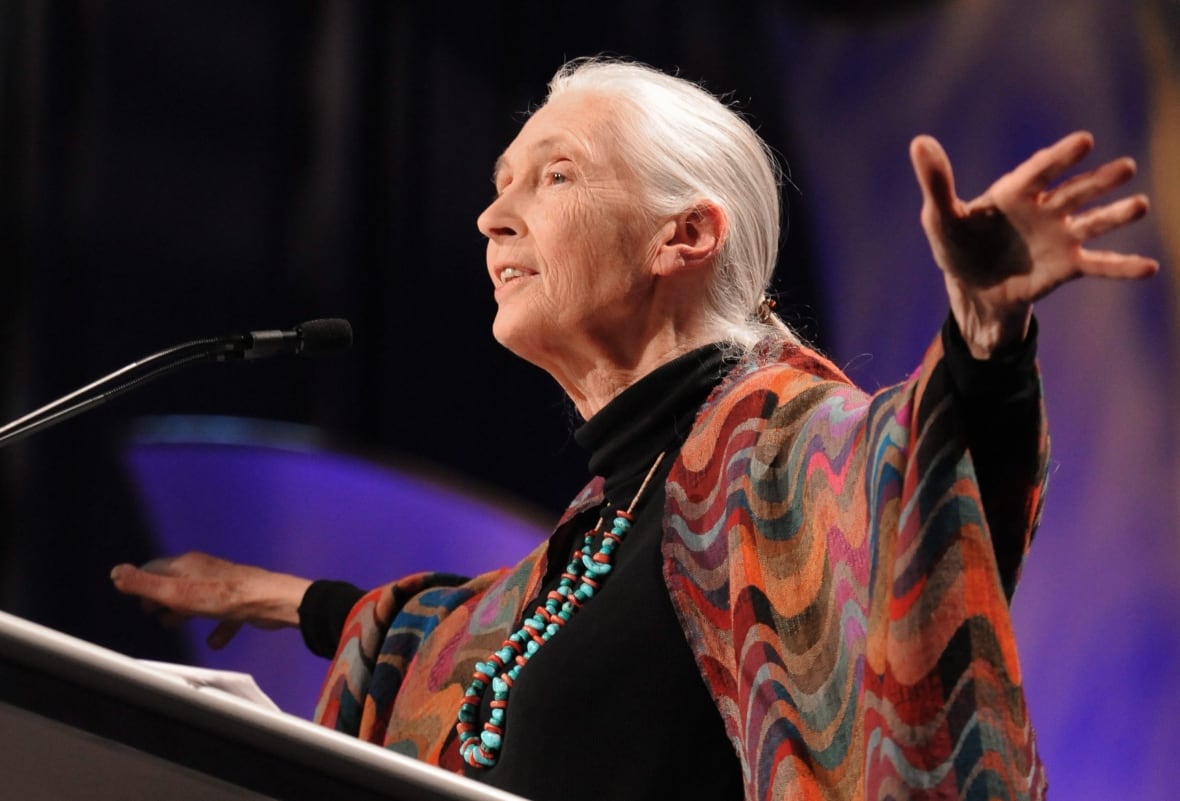 Dr. Jane Goodall gestures as she accepts the Minerva Award at the Women's Conference on Tuesday, Oct. 27, 2009, in Long Beach, Calif.