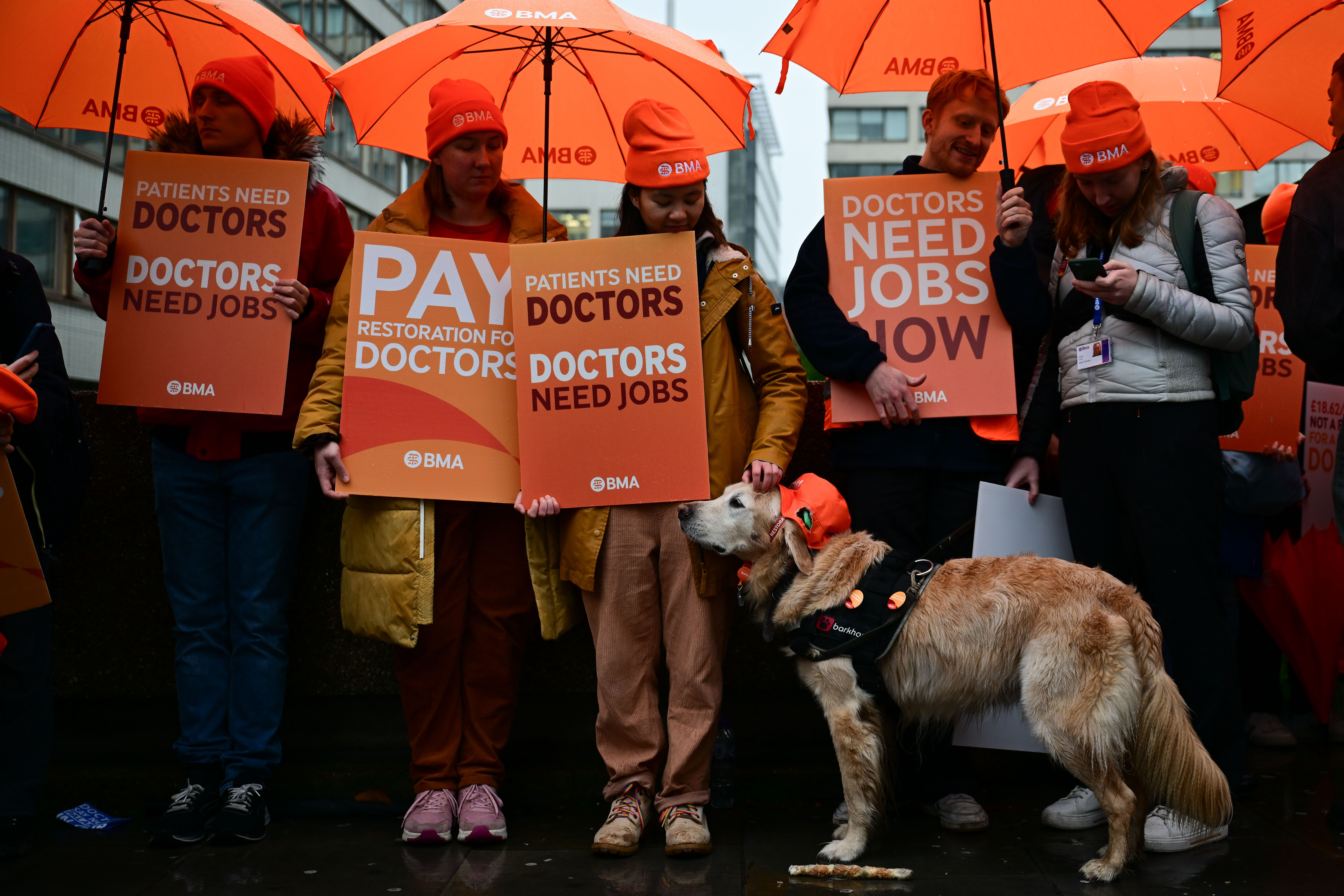 Doctors hold orange umbrellas and signs that read "PAY RESTORATION FOR DOCTORS," "PATIENTS NEED DOCTORS DOCTORS NEED JOBS," and "DOCTORS NEED JOBS NOW."